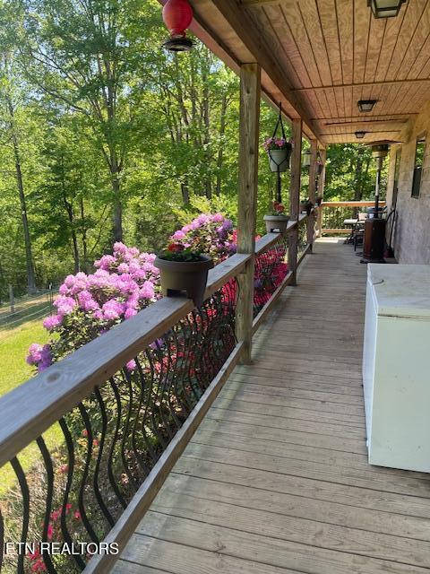 299 Tar Town Hollow Lane, Lafollette, TN - Norris Lake Real Estate - Image# 32
