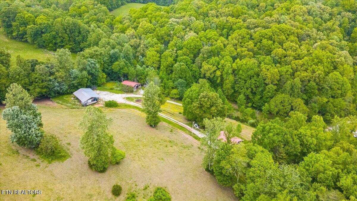 299 Tar Town Hollow Lane, Lafollette, TN - Norris Lake Real Estate - Image# 7