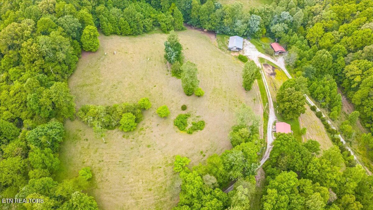 299 Tar Town Hollow Lane, Lafollette, TN - Norris Lake Real Estate - Image# 3