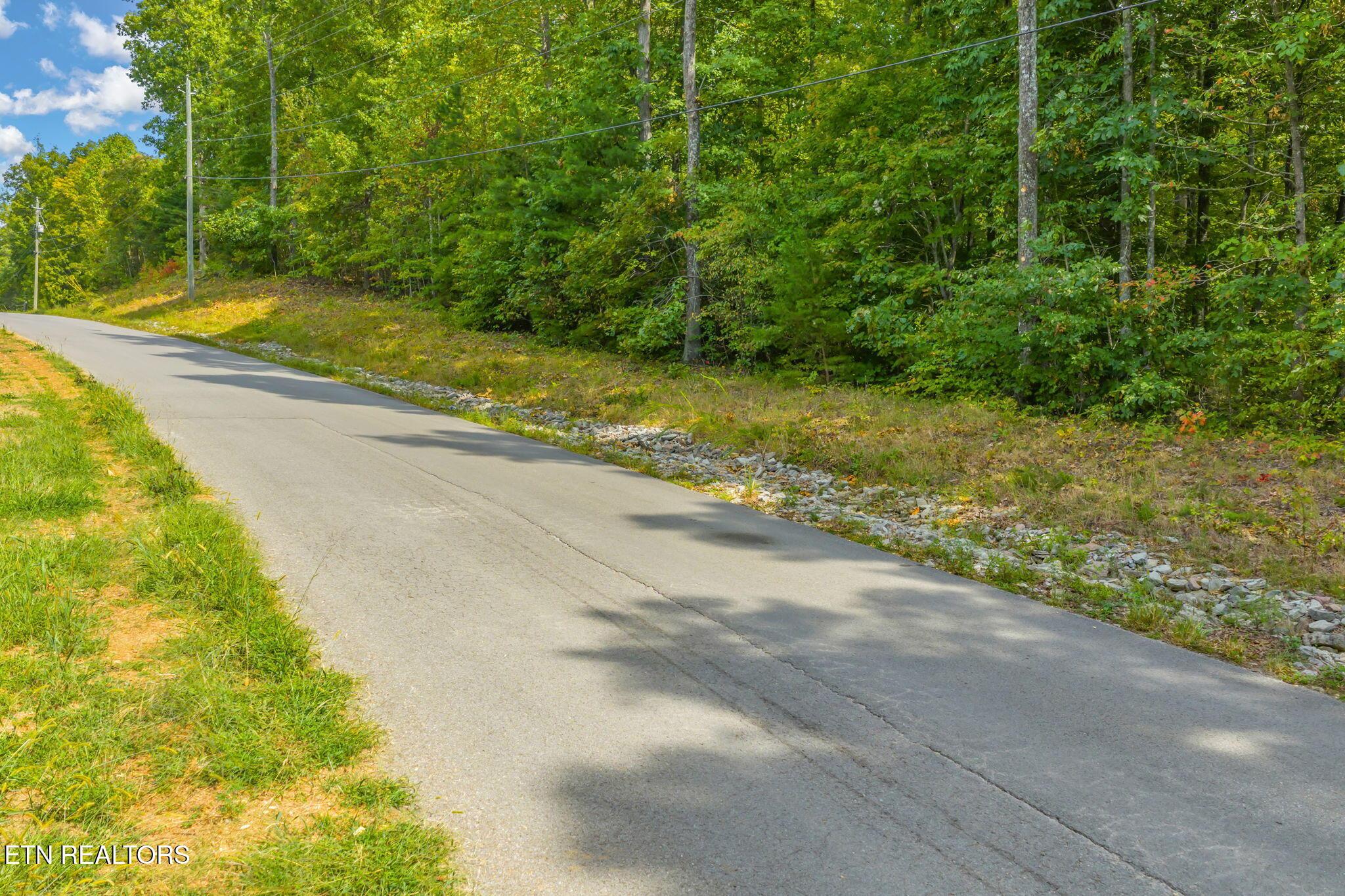 Norris Lake Real Estate - Image# 5