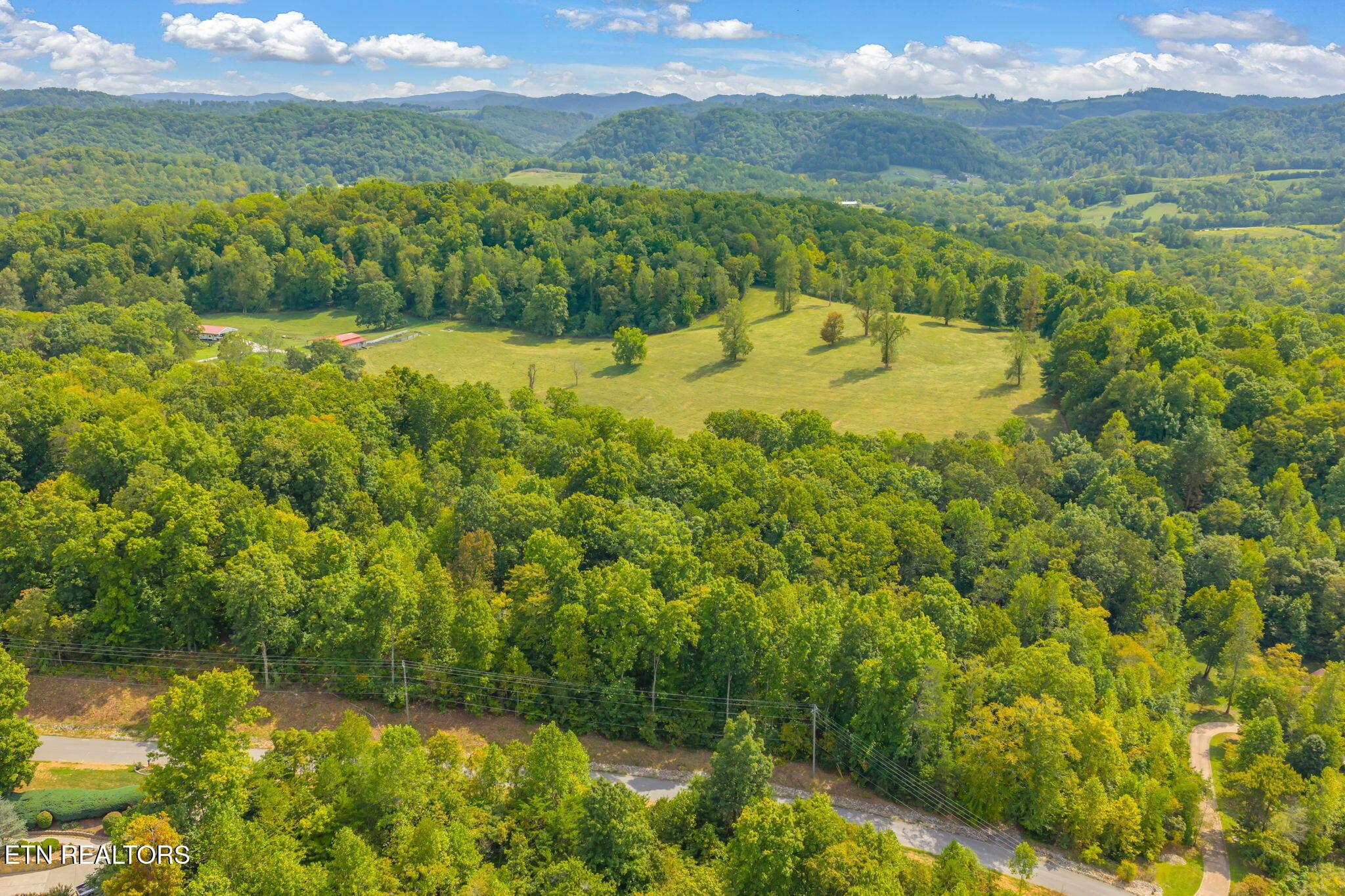 Norris Lake Real Estate - Image# 6