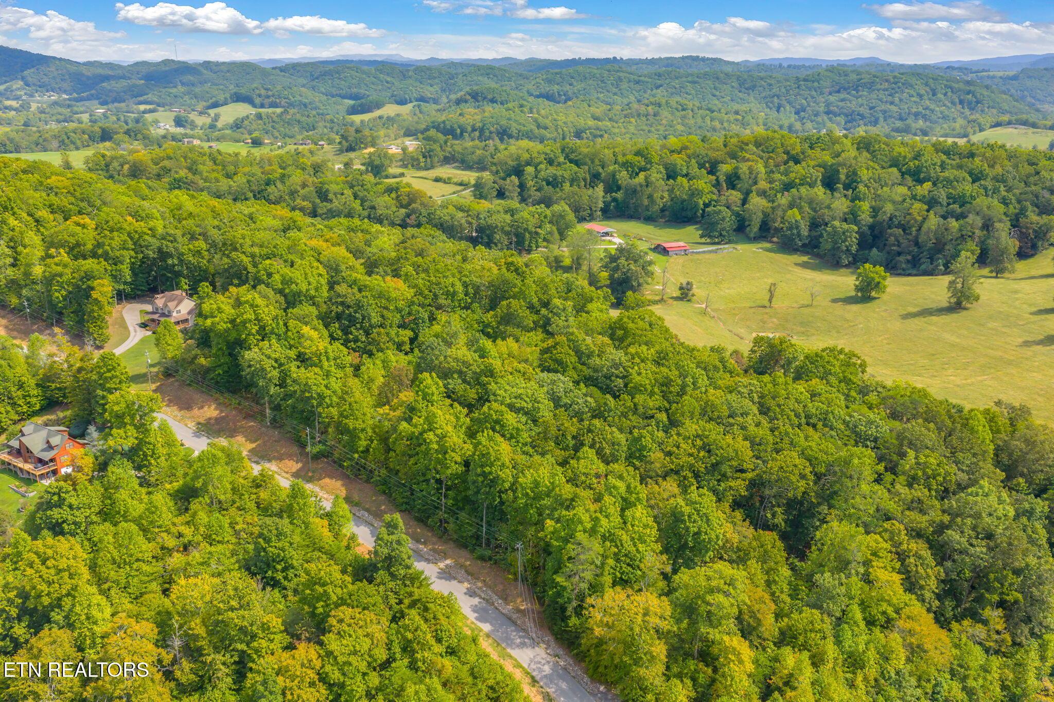 Norris Lake Real Estate - Image# 8