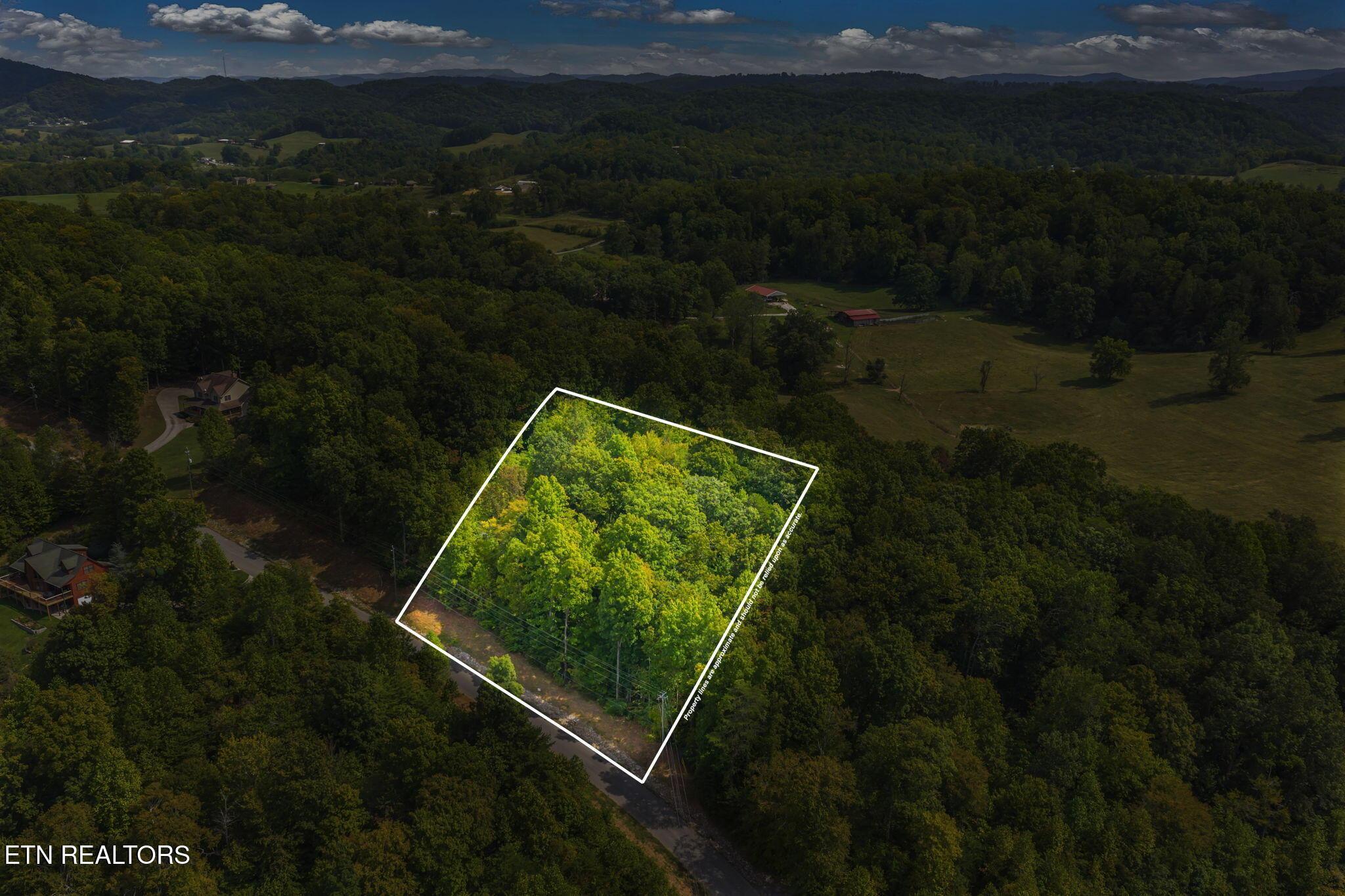 Norris Lake Real Estate - Image# 24