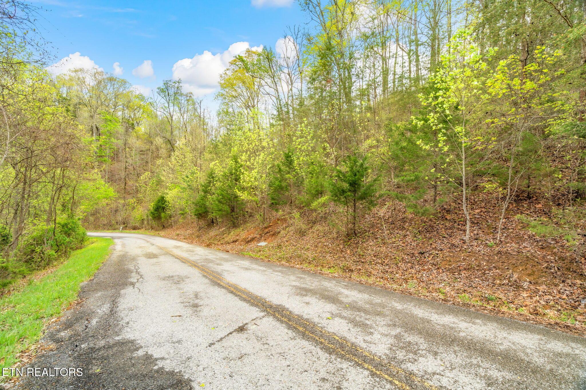 Norris Lake Real Estate - Image# 6