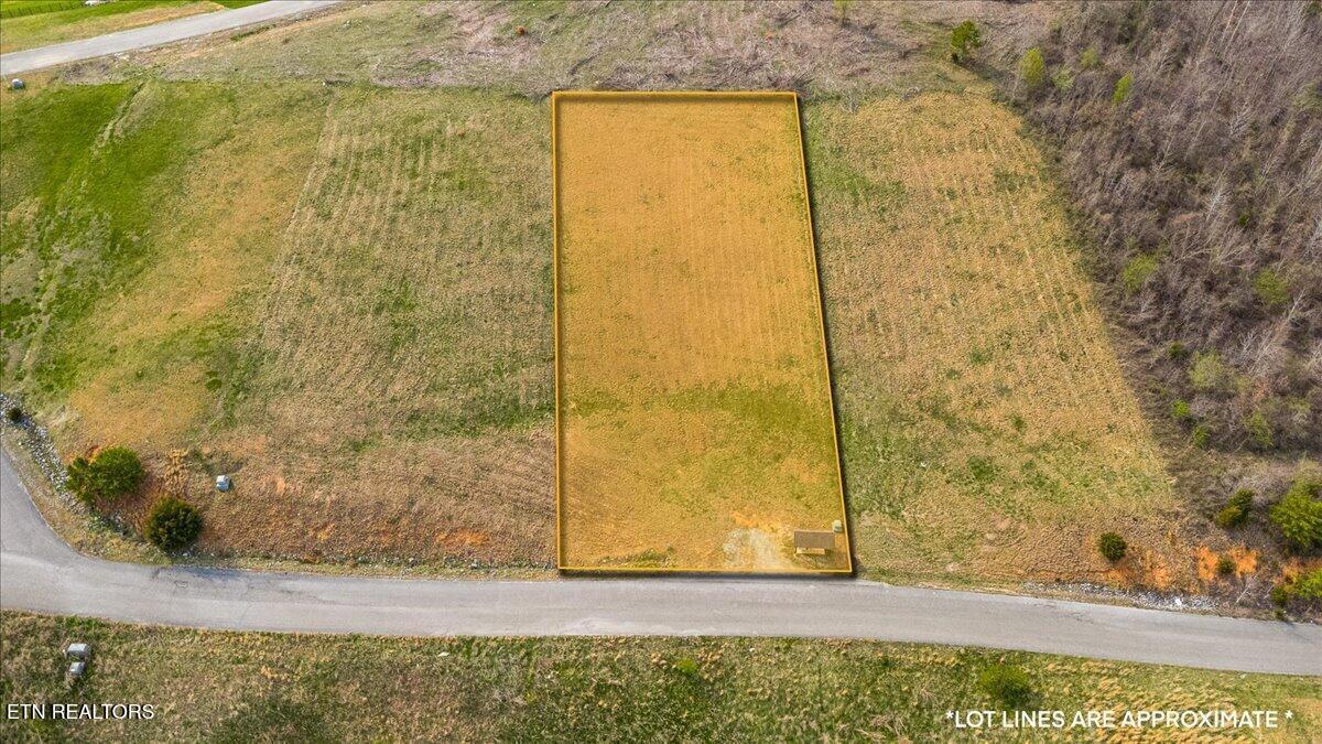 Norris Lake Real Estate - Image# 3