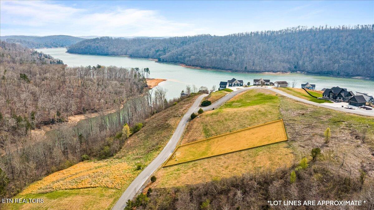 Norris Lake Real Estate - Image# 6