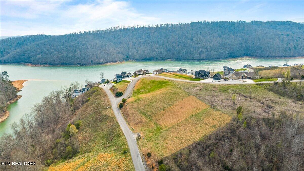 Norris Lake Real Estate - Image# 8