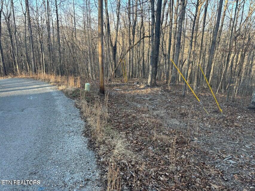 Norris Lake Real Estate - Image# 1
