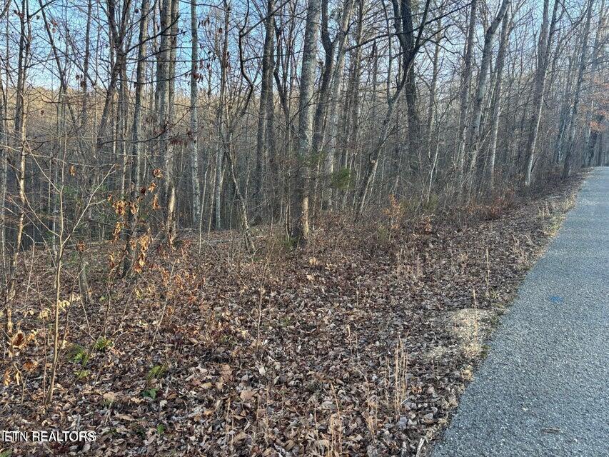 Norris Lake Real Estate - Image# 7