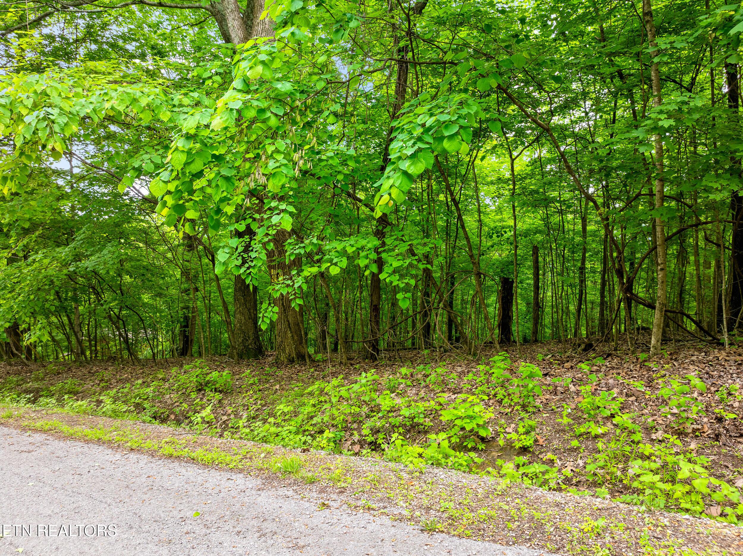 Running Deer Tr, Caryville, TN - Norris Lake Real Estate - Image# 1
