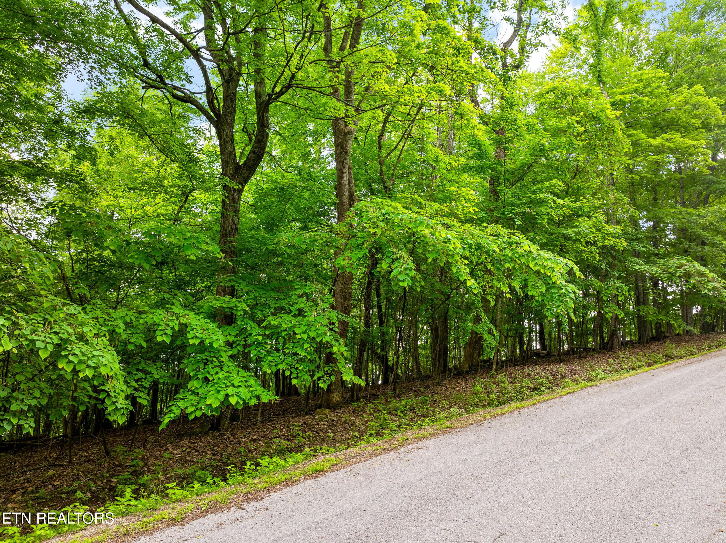 Running Deer Tr, Caryville, TN - Norris Lake Real Estate - Image# 2
