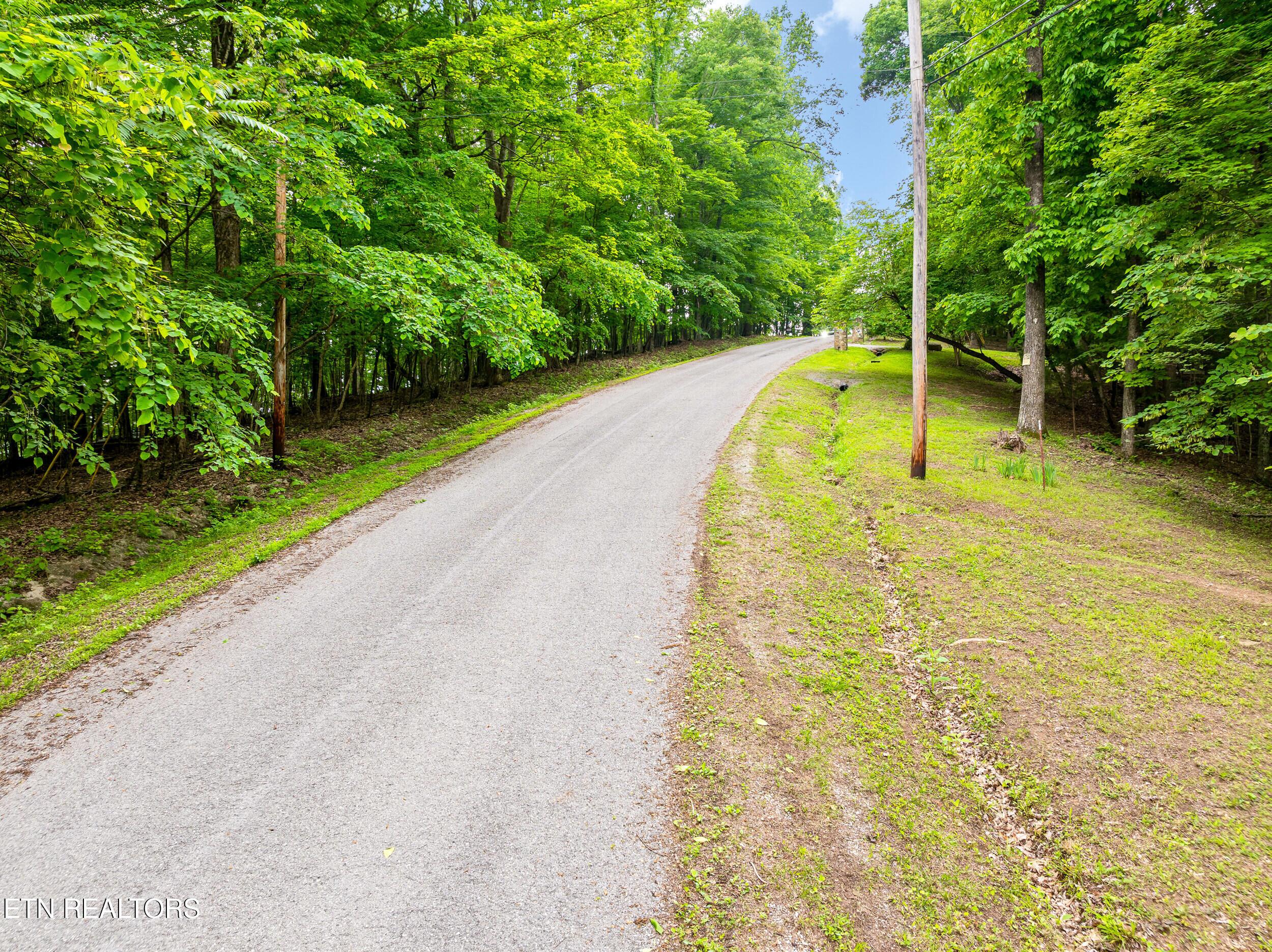 Running Deer Tr, Caryville, TN - Norris Lake Real Estate - Image# 4