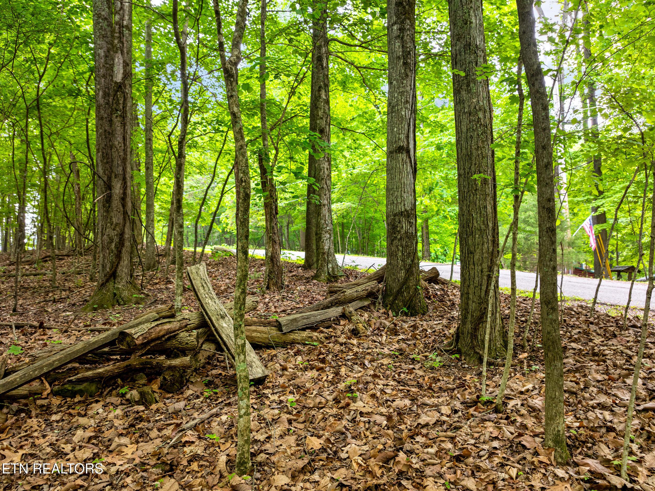 Running Deer Tr, Caryville, TN - Norris Lake Real Estate - Image# 8