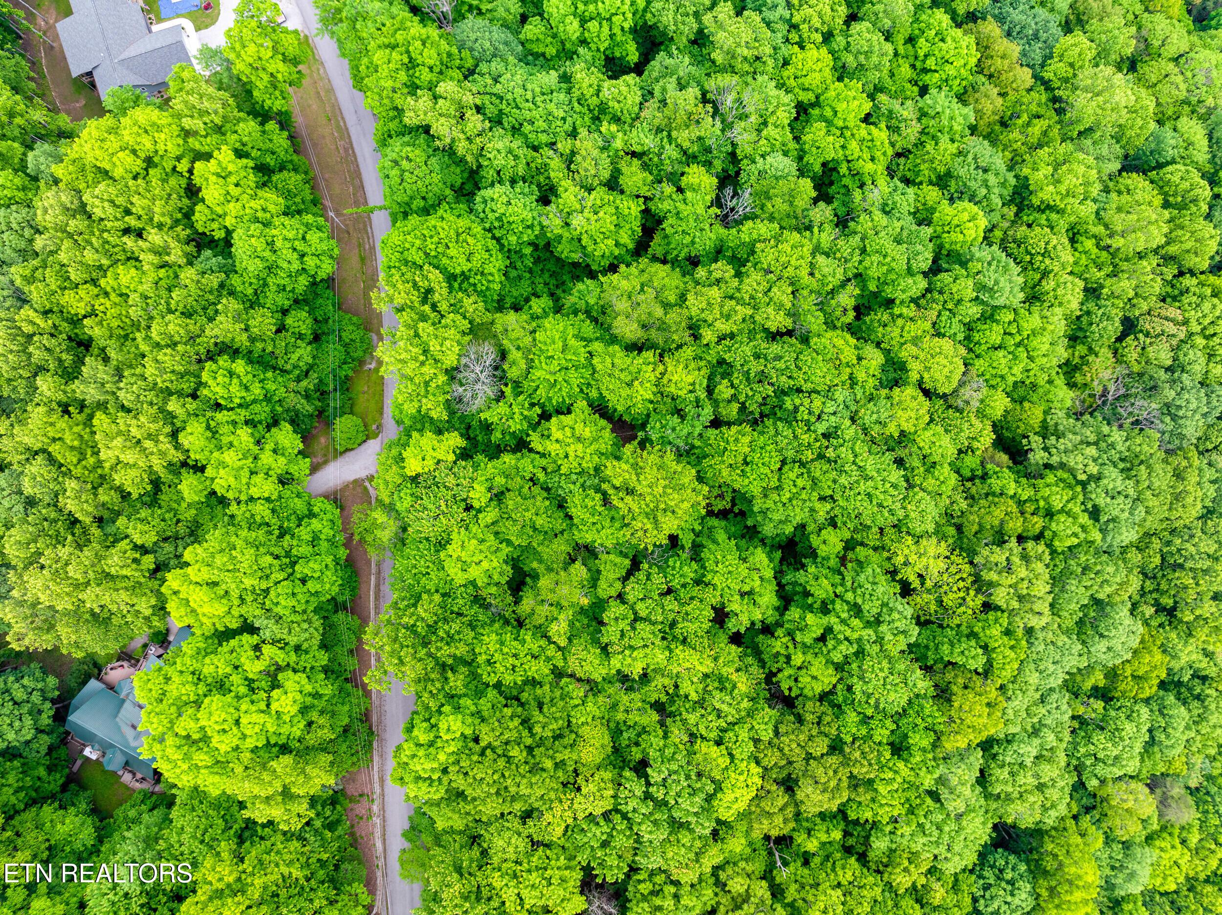 Running Deer Tr, Caryville, TN - Norris Lake Real Estate - Image# 9