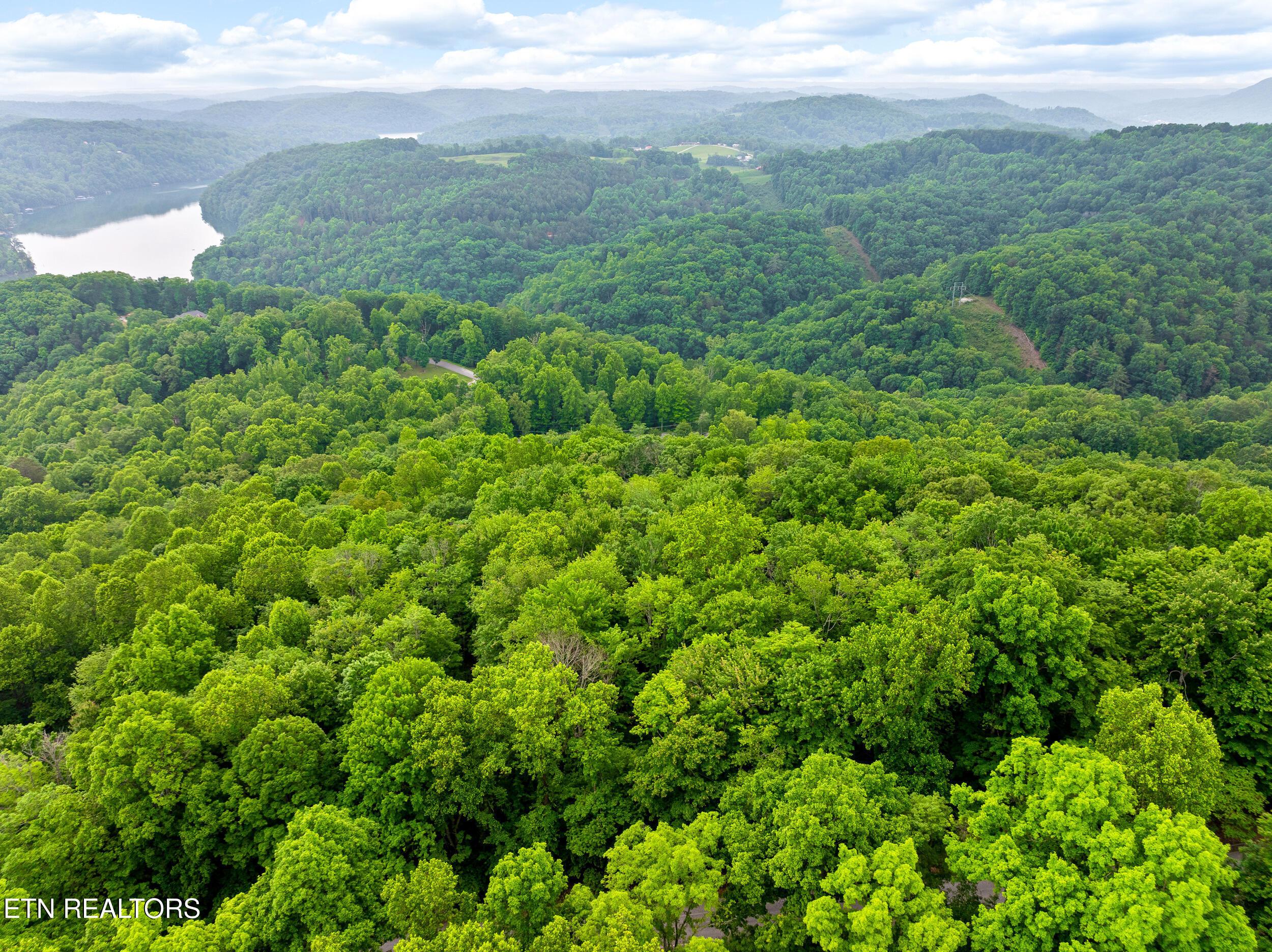 Running Deer Tr, Caryville, TN - Norris Lake Real Estate - Image# 10