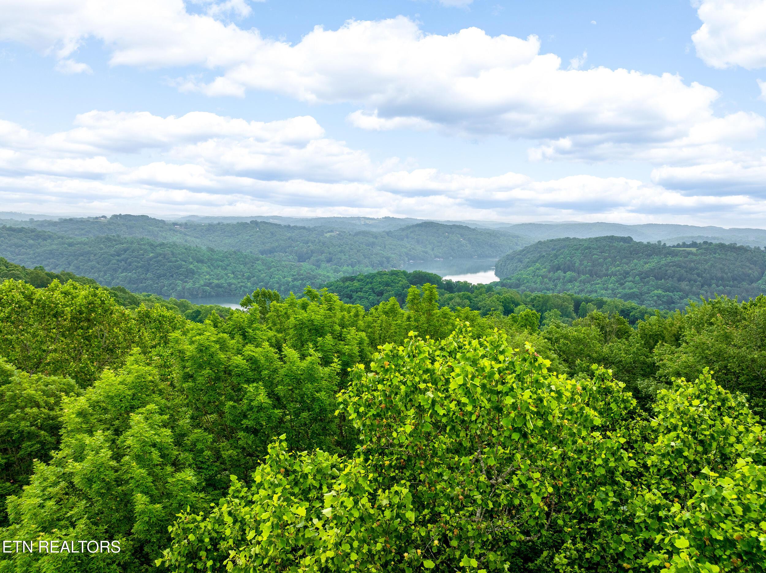 Running Deer Tr, Caryville, TN - Norris Lake Real Estate - Image# 11