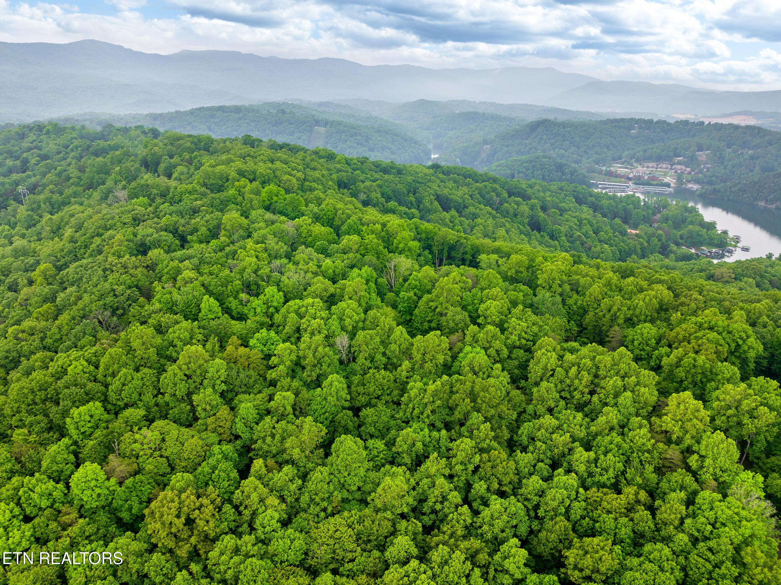 Running Deer Tr, Caryville, TN - Norris Lake Real Estate - Image# 12