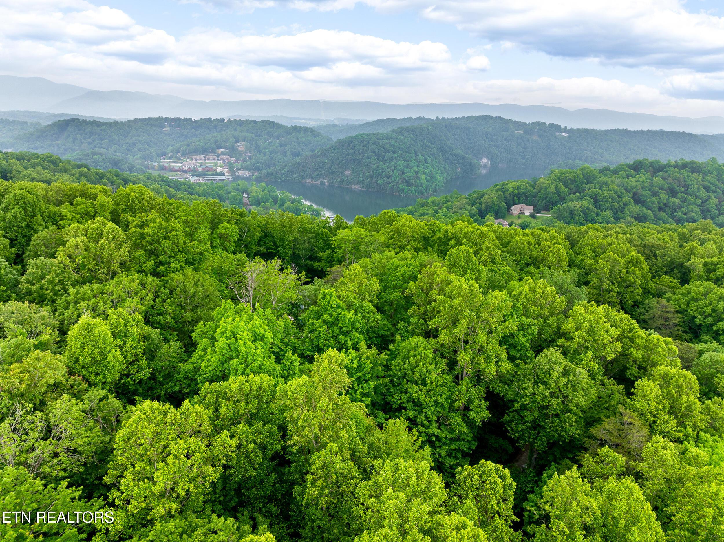 Running Deer Tr, Caryville, TN - Norris Lake Real Estate - Image# 13