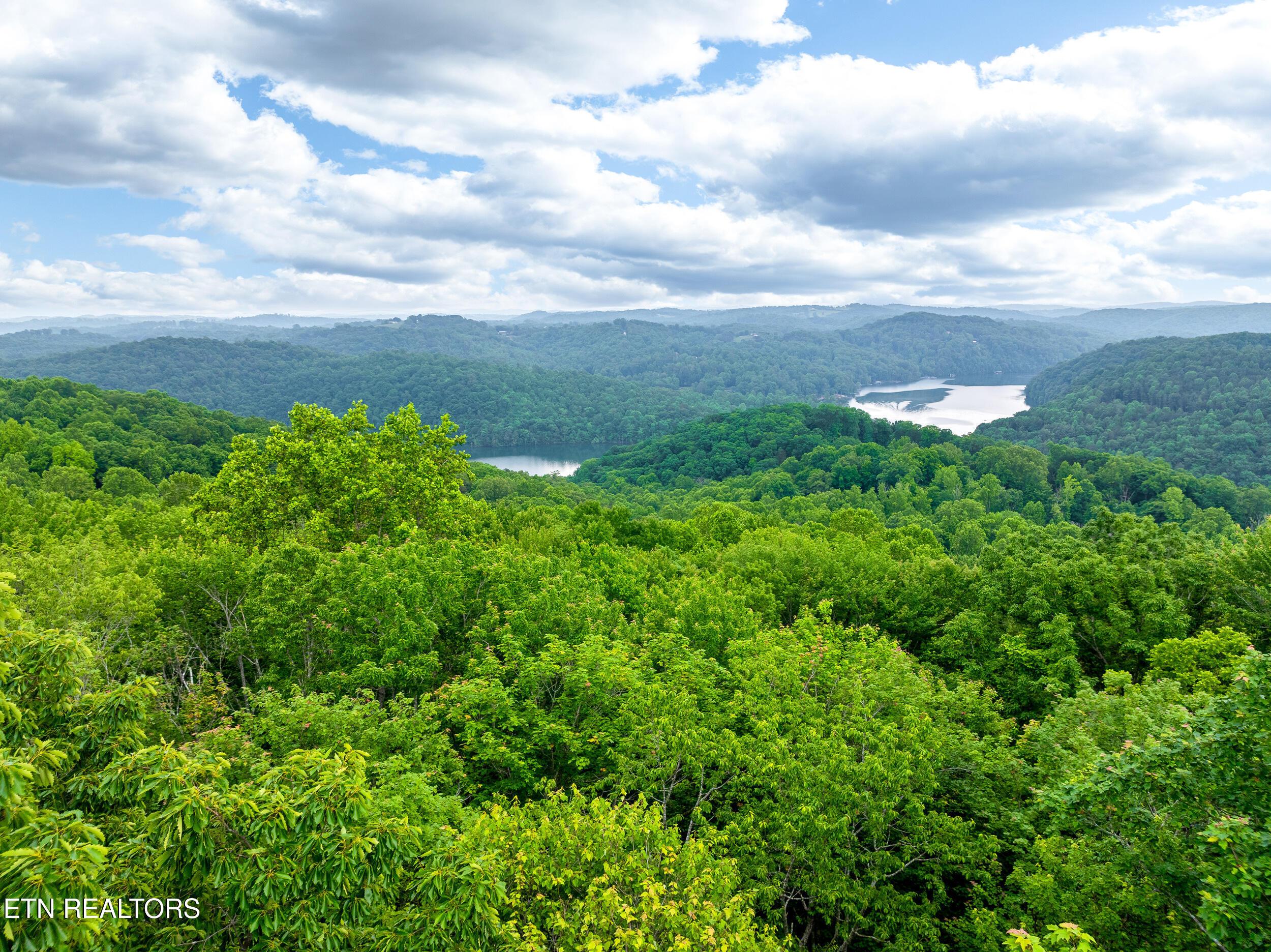 Running Deer Tr, Caryville, TN - Norris Lake Real Estate - Image# 14