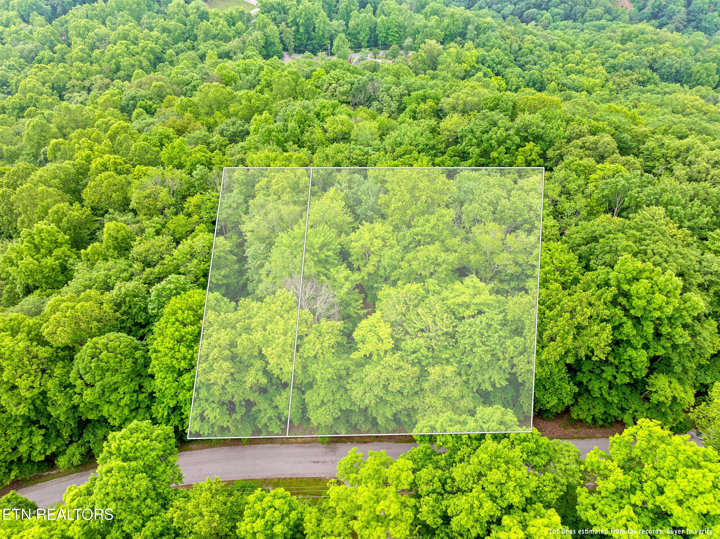 Running Deer Tr, Caryville, TN - Norris Lake Real Estate - Image# 15