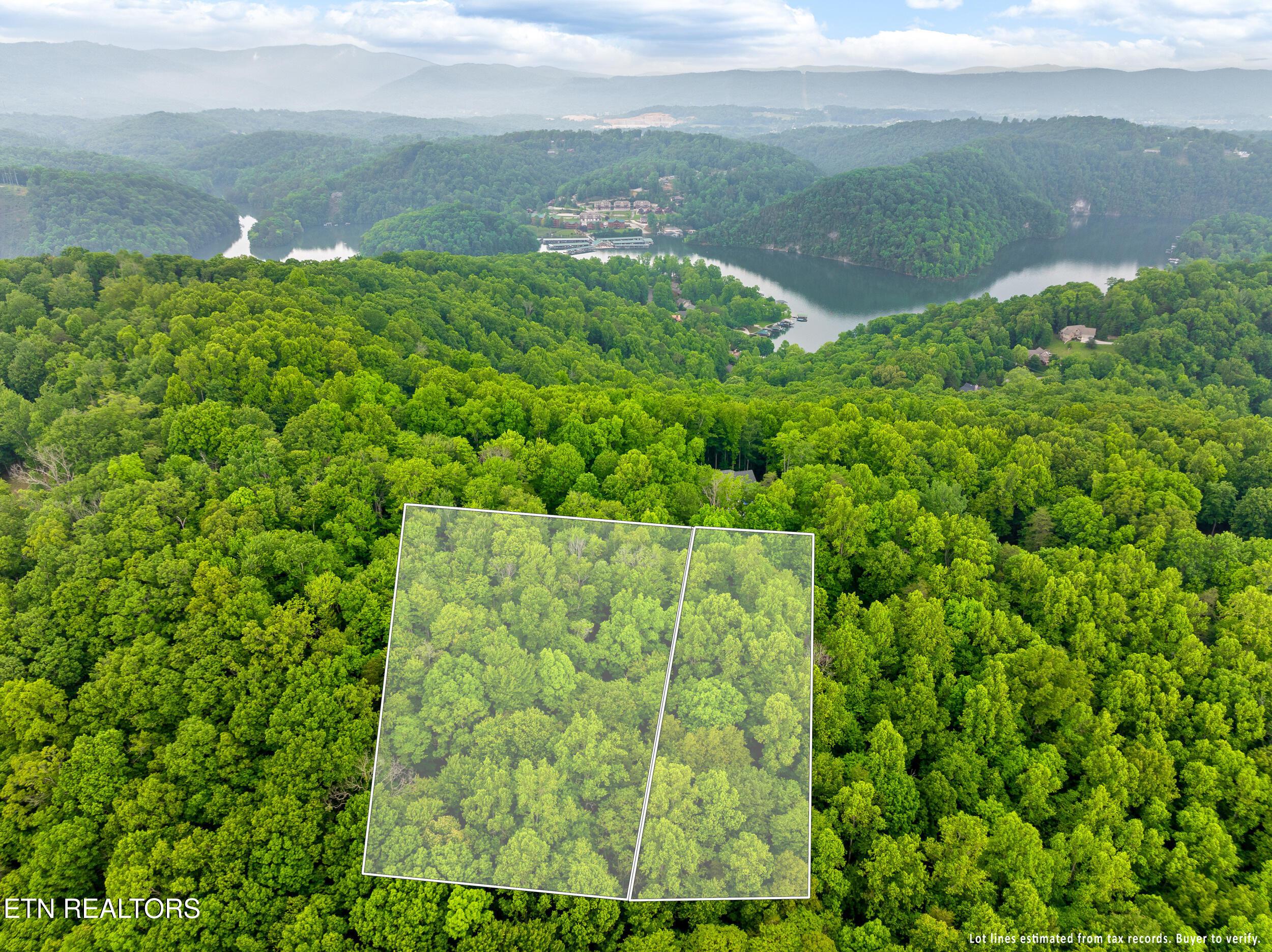 Running Deer Tr, Caryville, TN - Norris Lake Real Estate - Image# 16