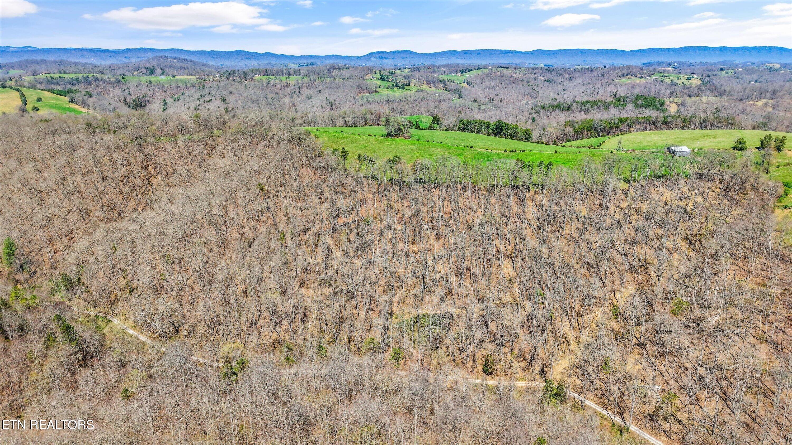 Norris Lake Real Estate - Image# 18
