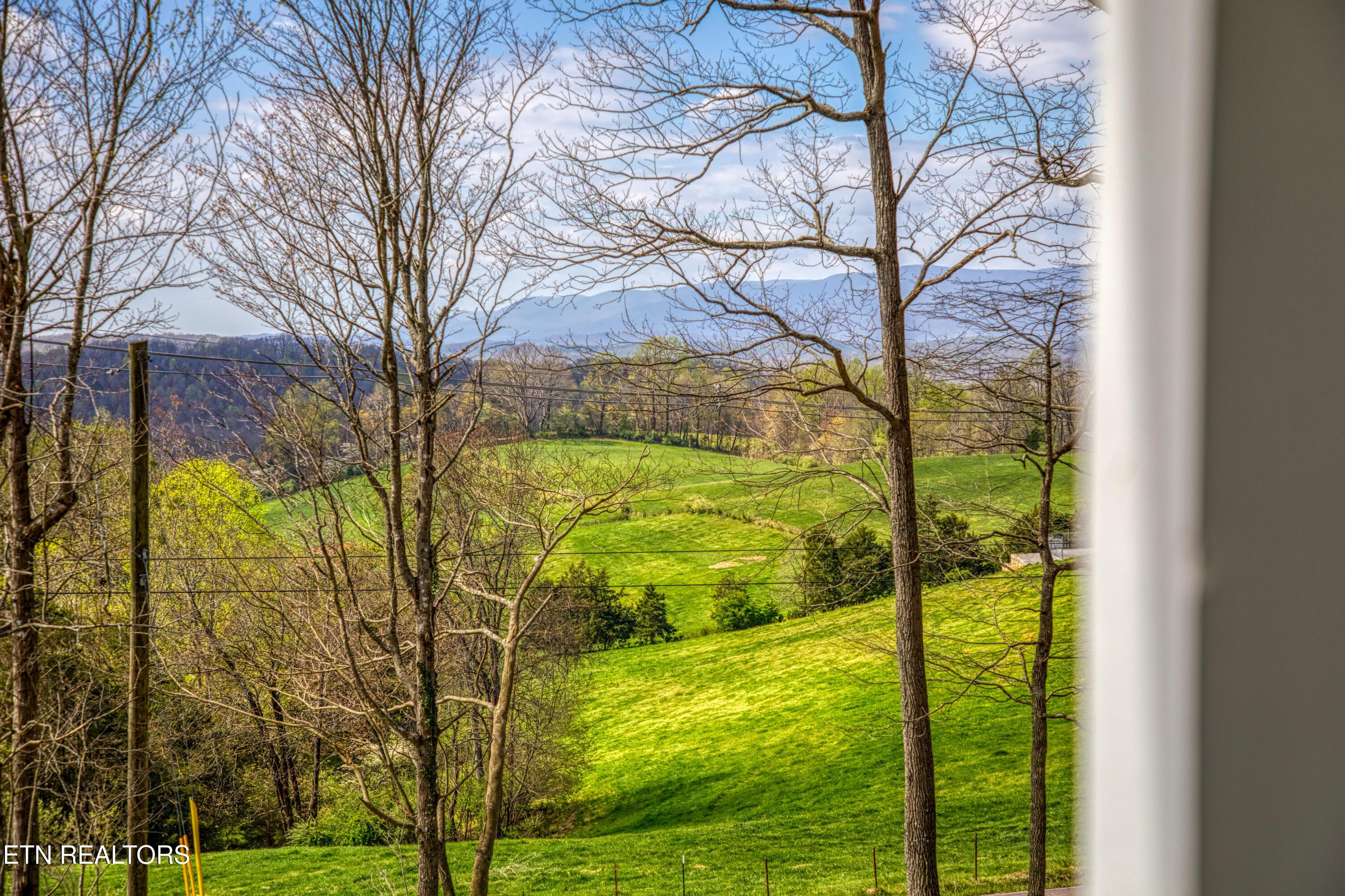 910 Ridge Circle Rd, Andersonville, TN - Norris Lake Real Estate - Image# 29