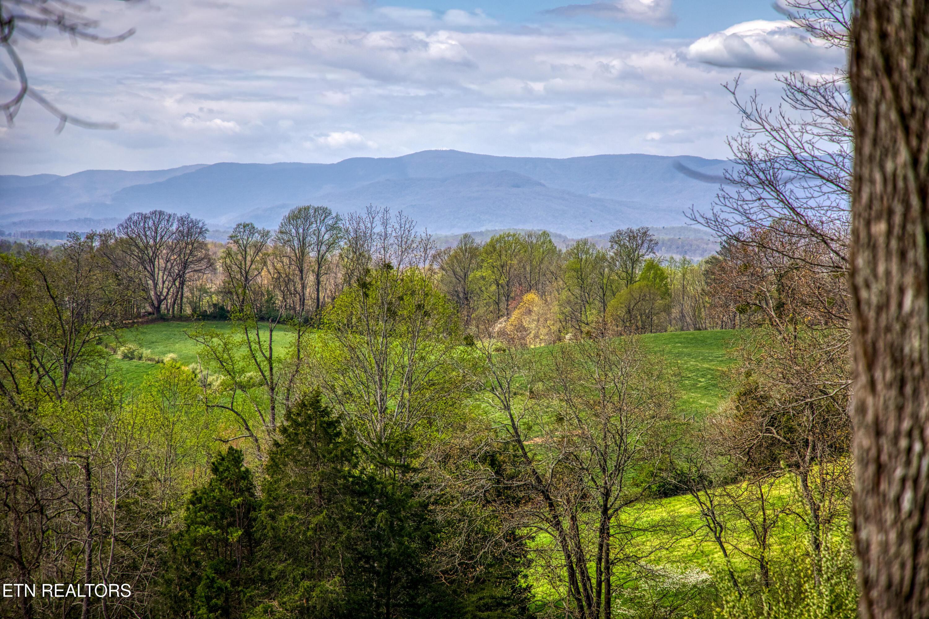 910 Ridge Circle Rd, Andersonville, TN - Norris Lake Real Estate - Image# 33