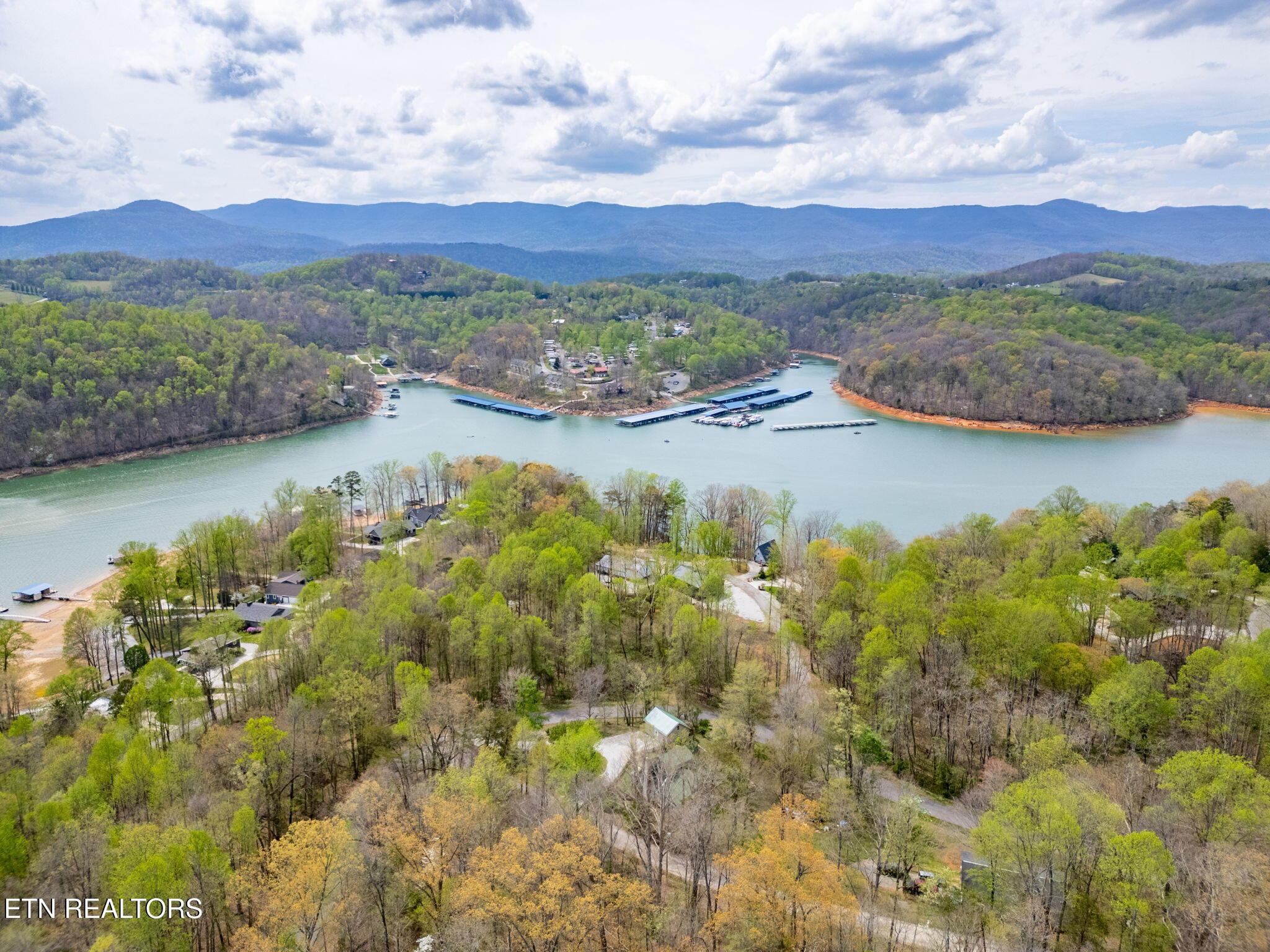 Norris Lake Real Estate - Image# 25