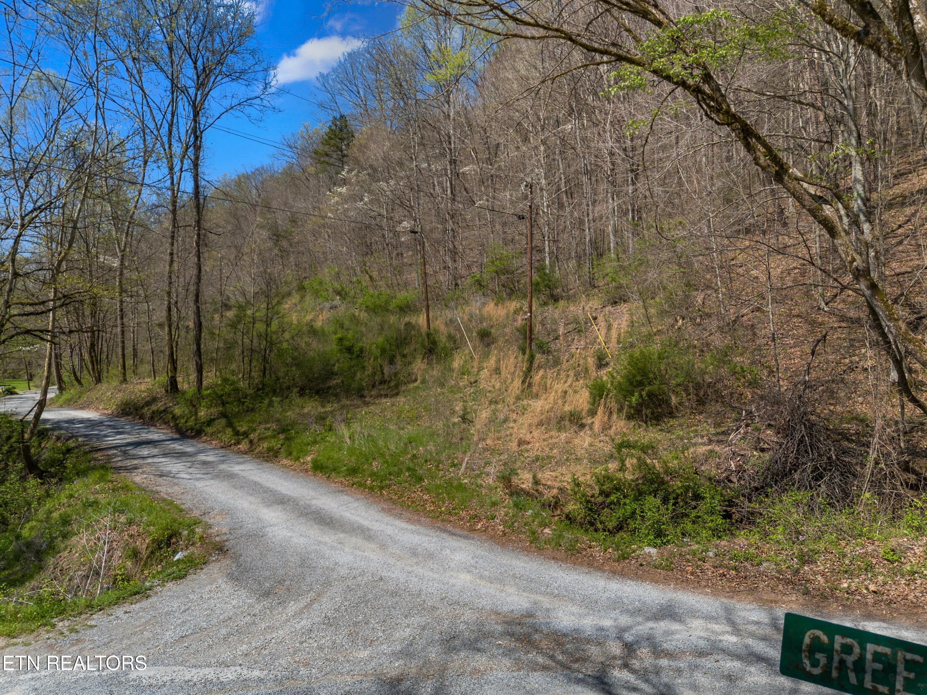 Norris Lake Real Estate - Image# 17