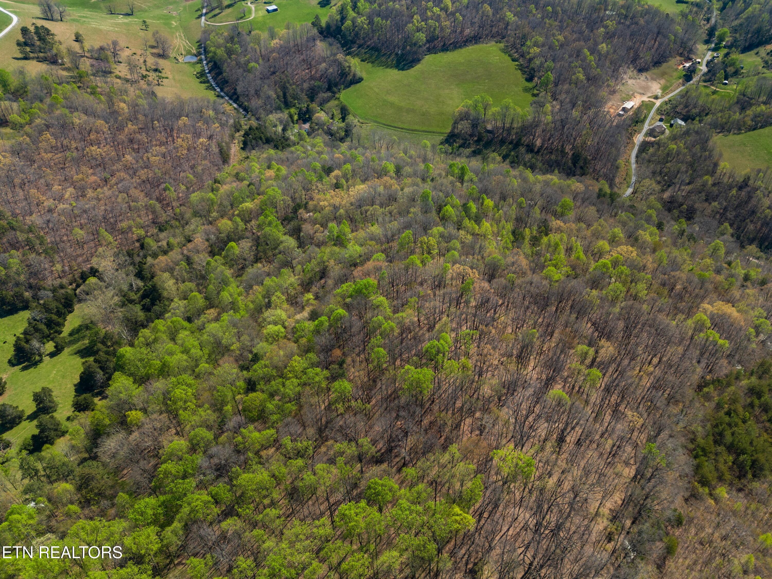 Norris Lake Real Estate - Image# 27