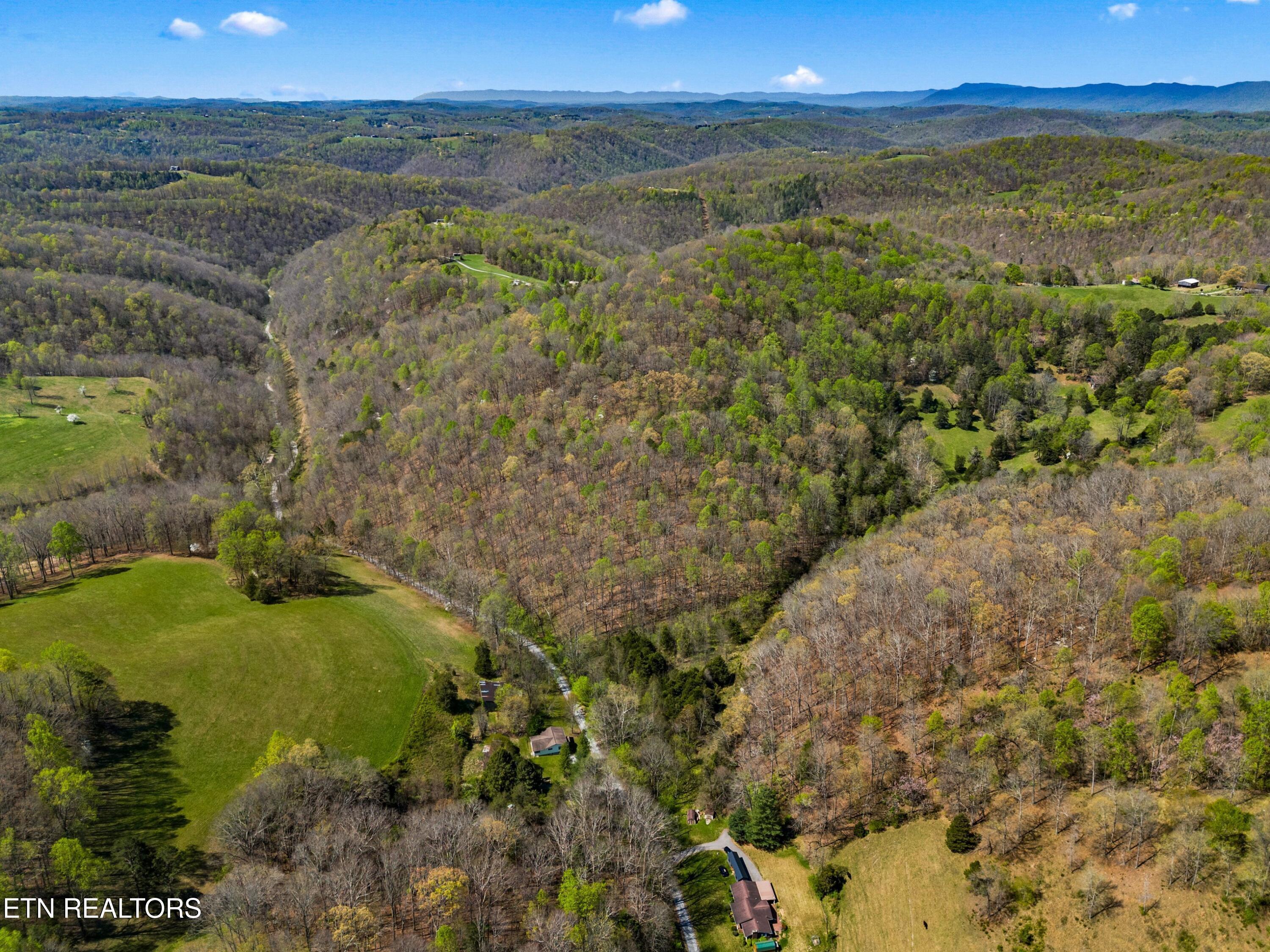 Norris Lake Real Estate - Image# 28
