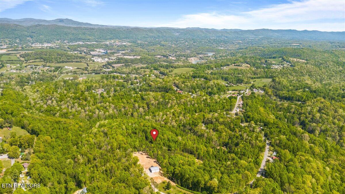 Norris Lake Real Estate - Image# 3