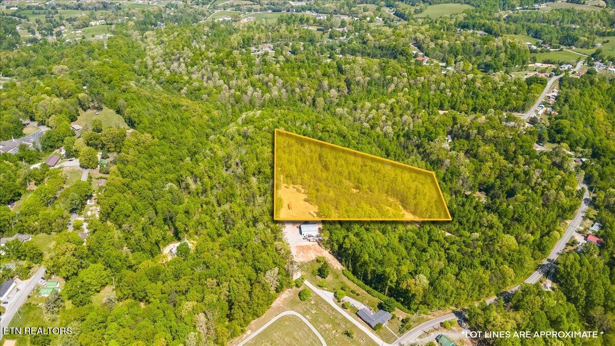 Norris Lake Real Estate - Image# 5