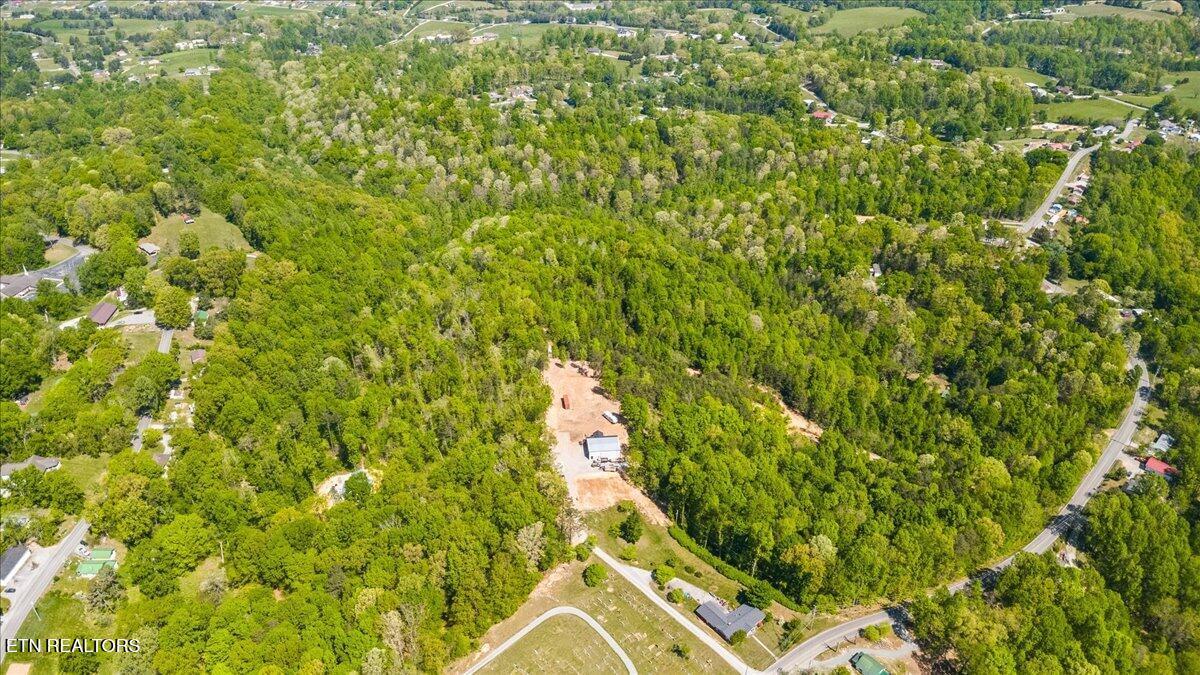 Norris Lake Real Estate - Image# 8