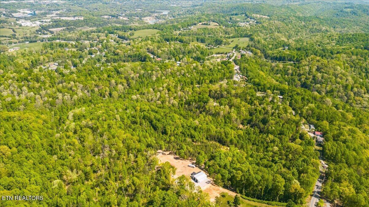 Norris Lake Real Estate - Image# 9
