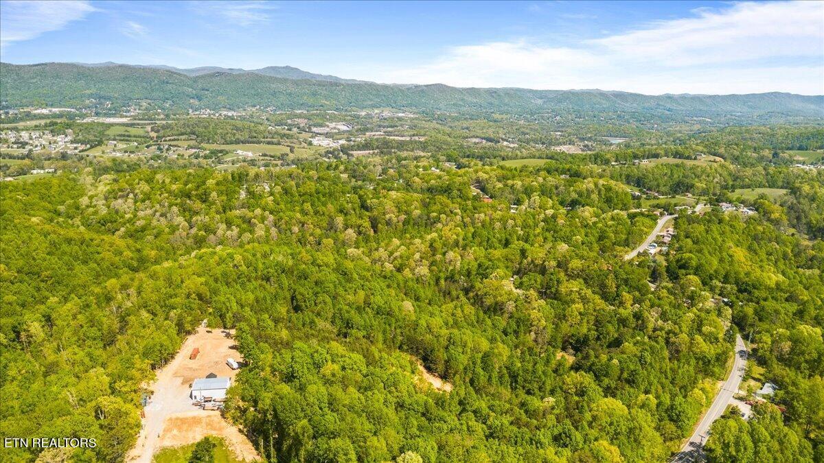 Norris Lake Real Estate - Image# 10