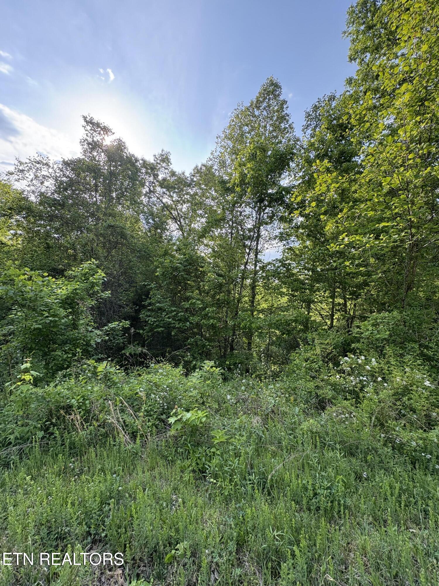 Norris Lake Real Estate - Image# 1