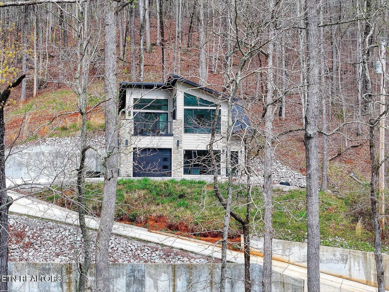 Norris Lake Real Estate - Image# 1