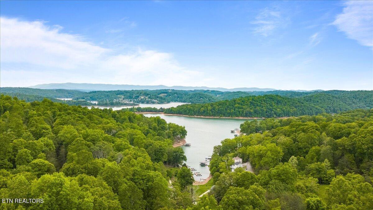 Norris Lake Real Estate - Image# 2