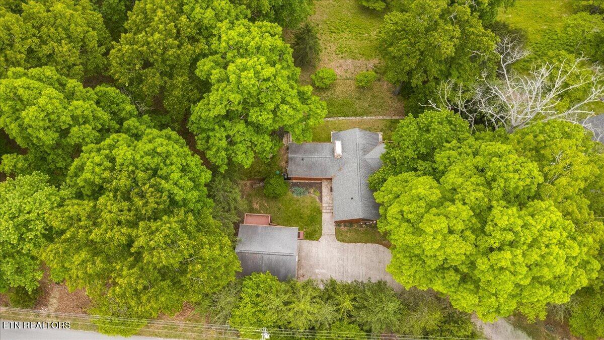 Norris Lake Real Estate - Image# 55
