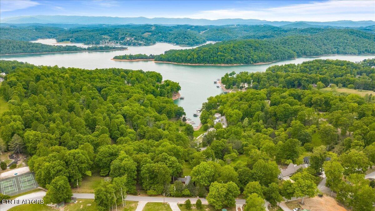 Norris Lake Real Estate - Image# 48