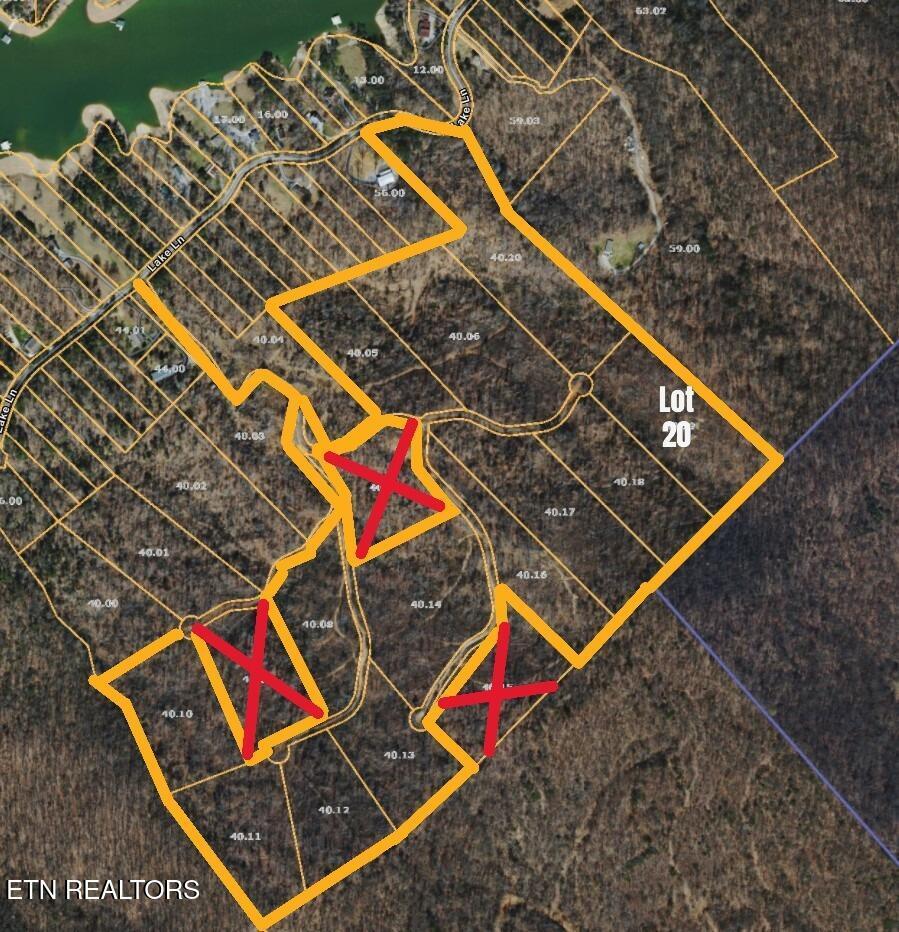 Norris Lake Real Estate - Image# 1
