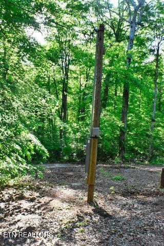 Norris Lake Real Estate - Image# 9
