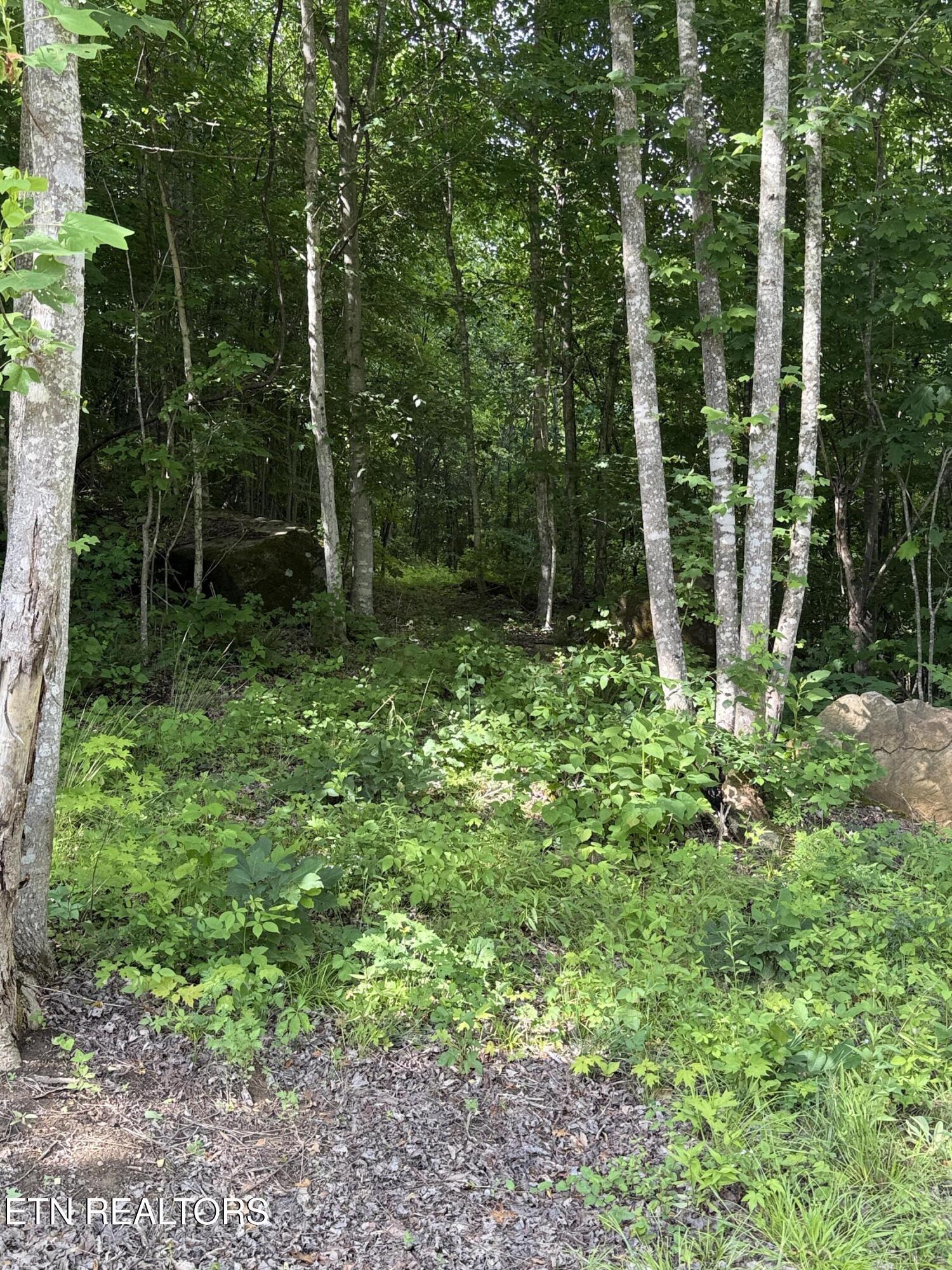 549 Defender Rd, Lafollette, TN - Norris Lake Real Estate - Image# 30