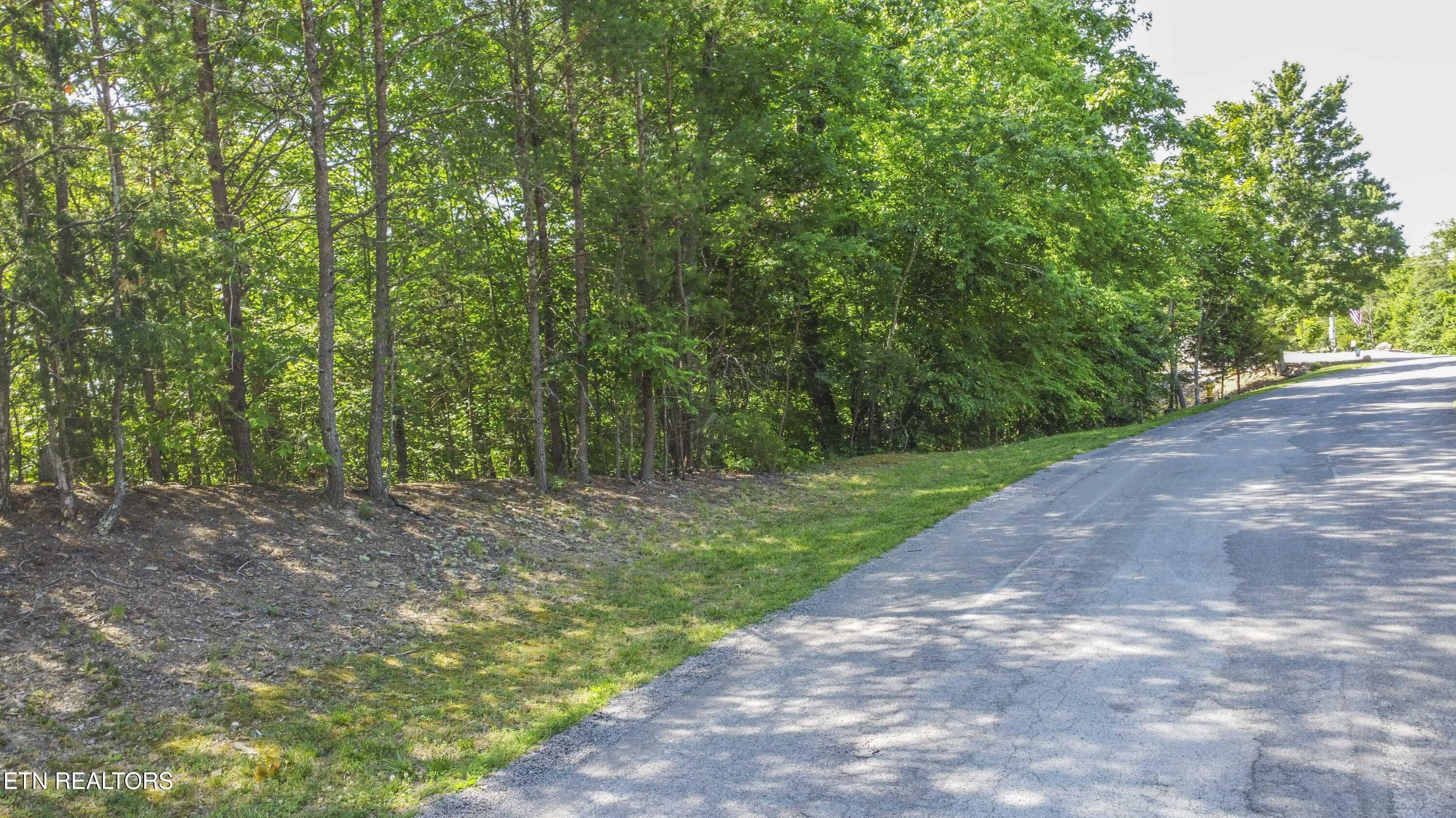 Norris Lake Real Estate - Image# 3