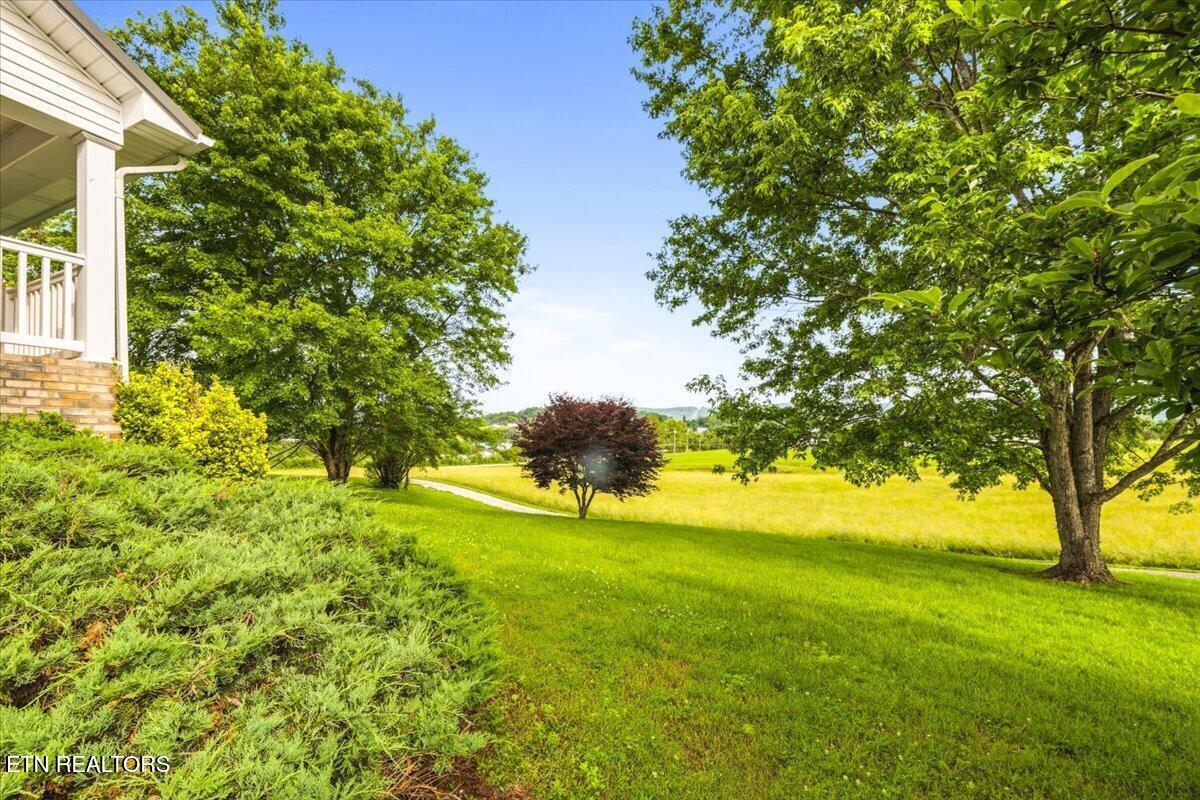 819 Island Ford Rd, Jacksboro, TN - Norris Lake Real Estate - Image# 51