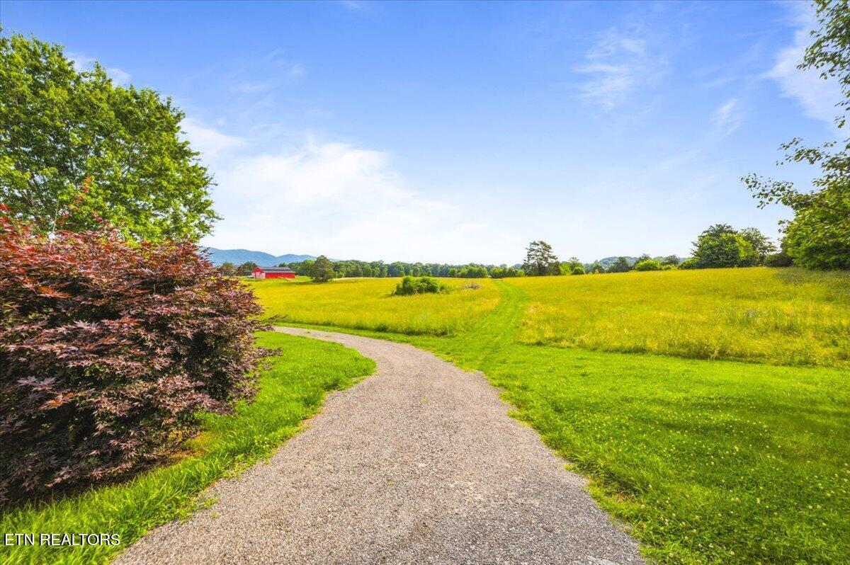 819 Island Ford Rd, Jacksboro, TN - Norris Lake Real Estate - Image# 52