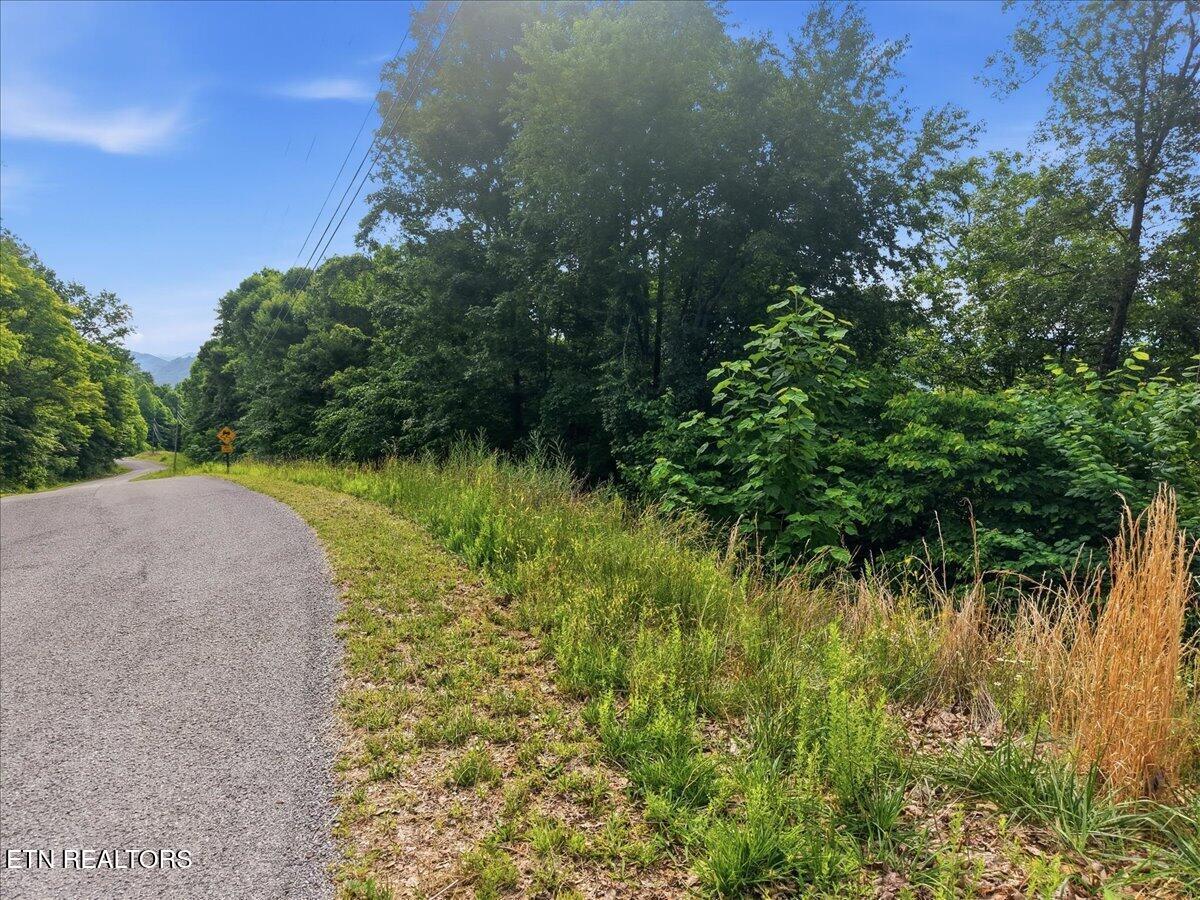 Norris Lake Real Estate - Image# 11