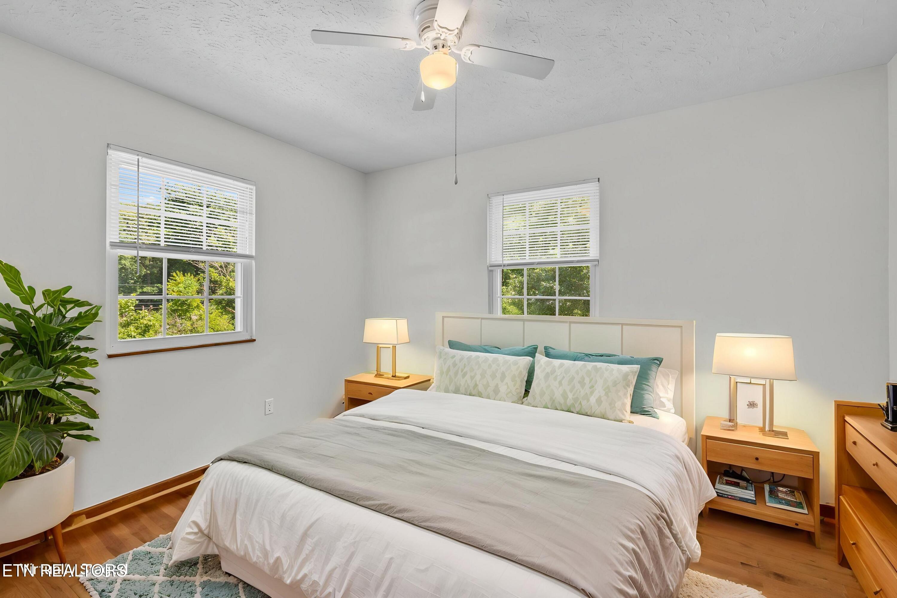 Norris Lake Real Estate - Image# 28
